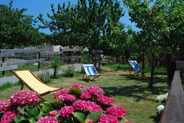 Agriturismo Terra E Cielo Serra Rocco Exterior photo